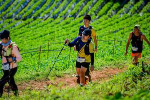 BIB: 142, 2661
                            <button type="button" onclick="openModal(19163487)" class="btn btn-primary btn-sm float-right btn-popup" data-toggle="modal" data-target=".modal-high-quality">
                        <i class="fas fa-shopping-cart"></i> Add to Cart
                    </button>
                                            <button type="button" onclick="isThisMe(19163487, true)" class="btn btn-success btn-sm float-right btn-popup btn-isme hidden" data-toggle="tooltip" data-placement="bottom" title="นี่คือรูปของคุณใช่ไหม คลิกที่นี่เพื่อเอาเข้าอัลบั้ม">
                        <i class="fas fa-plus"></i> Add to album
                    </button>
                    <button type="button" onclick="isThisMe(19163487, false)" class="btn btn-warning btn-sm float-right btn-popup btn-isnotme hidden">
                        <i class="fas fa-ban"></i> Remove from album
                    </button>